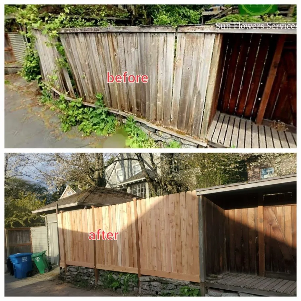 Expert landscaping services experts serving Burien, WA - Sun flowers services