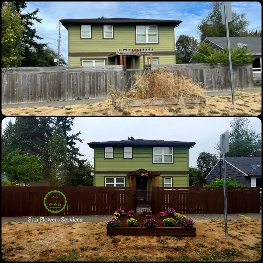 Professional lawn mowing service experts serving Burien, WA - Sun flowers services