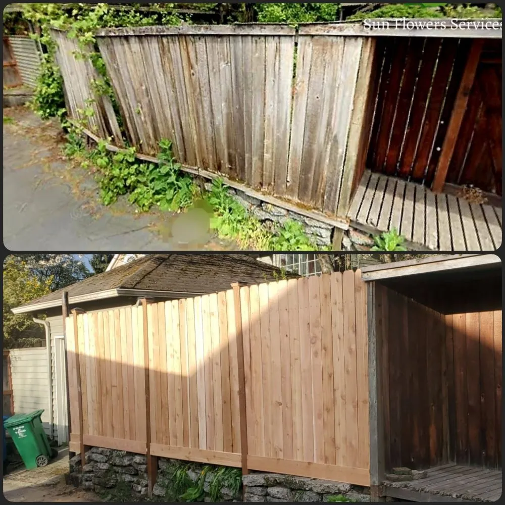 Trusted yard maintenance for homes in Burien, WA by Sun flowers services