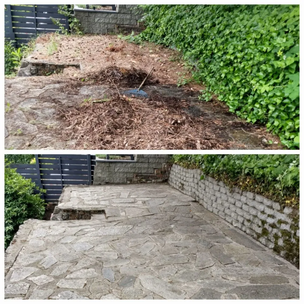 Trusted landscape design for residential properties in Burien, WA by Sun flowers services