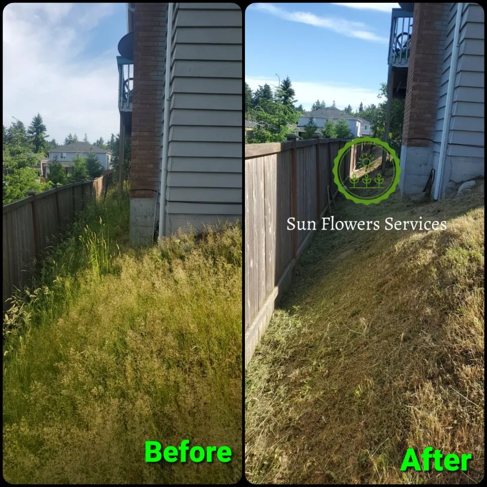 Custom yard maintenance near you across Burien, WA - Sun flowers services