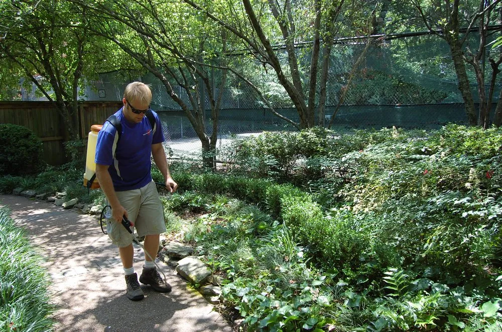 Top-rated yard cleanup service in Germantown, TN by Sun Group Services