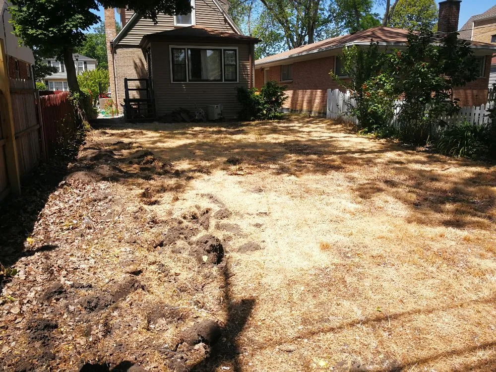 Professional landscape installation in Chicago IL, IL by Sun Landscape