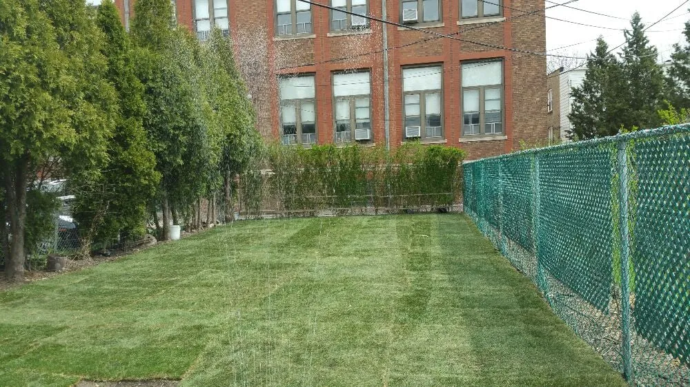 Affordable yard cleanup service in Chicago IL, IL - Sun Landscape