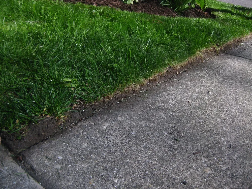 Local lawn care service in Chicago IL, IL by Sun Landscape