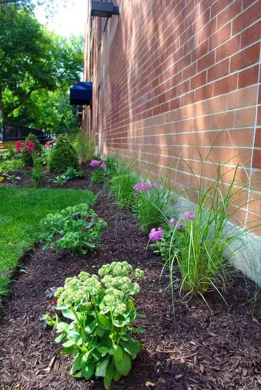 Custom lawn care service in Chicago IL, IL by Sun Landscape