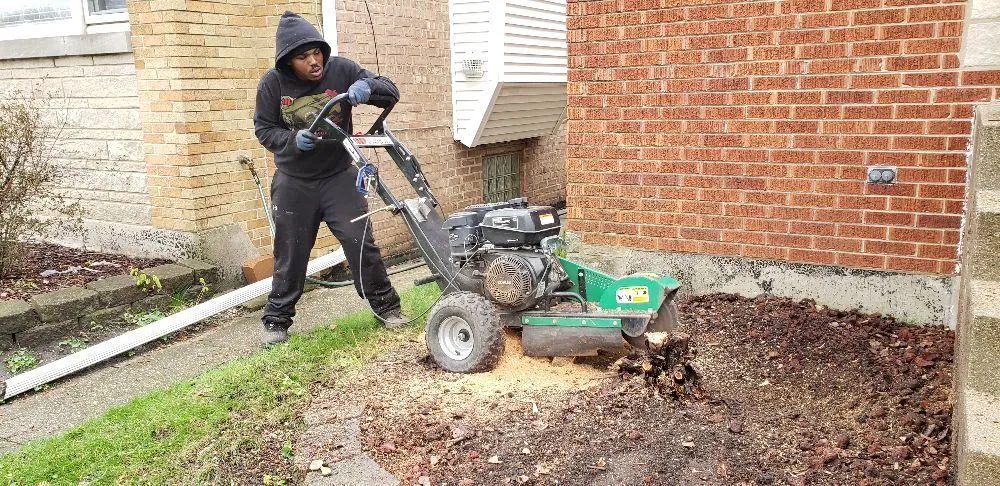 Expert yard cleanup service for residential properties across Chicago IL, IL - Sun Landscape