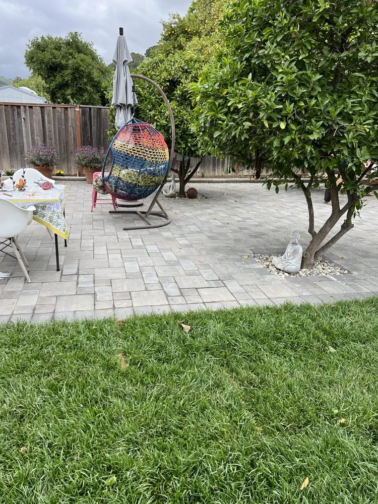 Reliable yard cleanup service for year-round maintenance in Hayward, CA by Sun Landscape