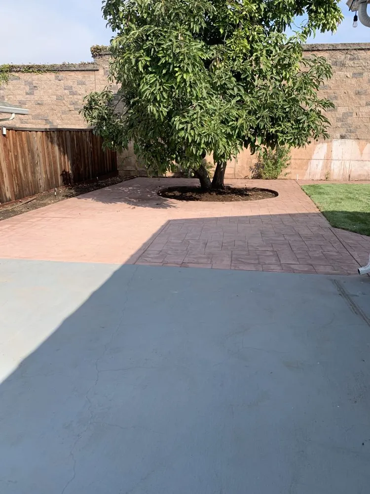 Reliable lawn care service for year-round maintenance in Hayward, CA by Sun Landscape