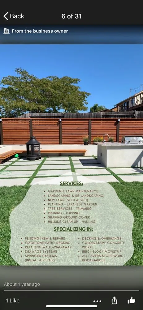 Top-rated yard cleanup service experts serving Hayward, CA - Sun Landscape