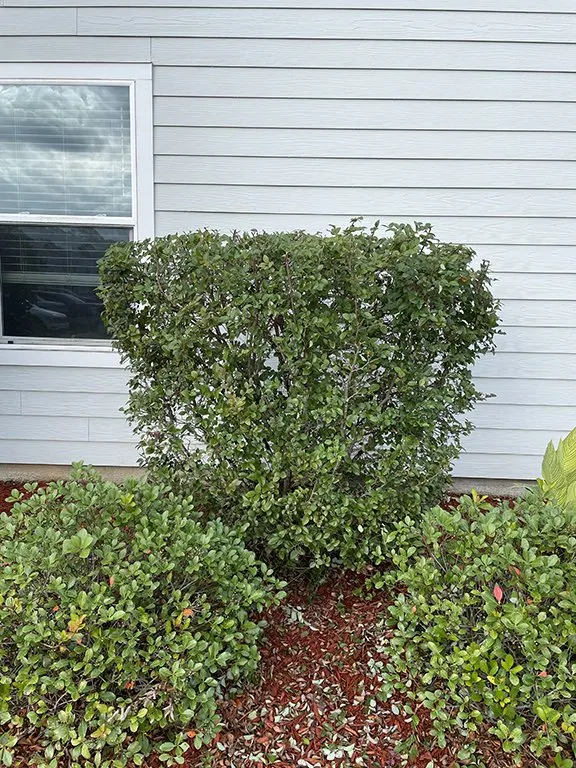 Expert lawn mowing service near you across Santa Rosa Beach, FL - Sun Lawn Care and Design