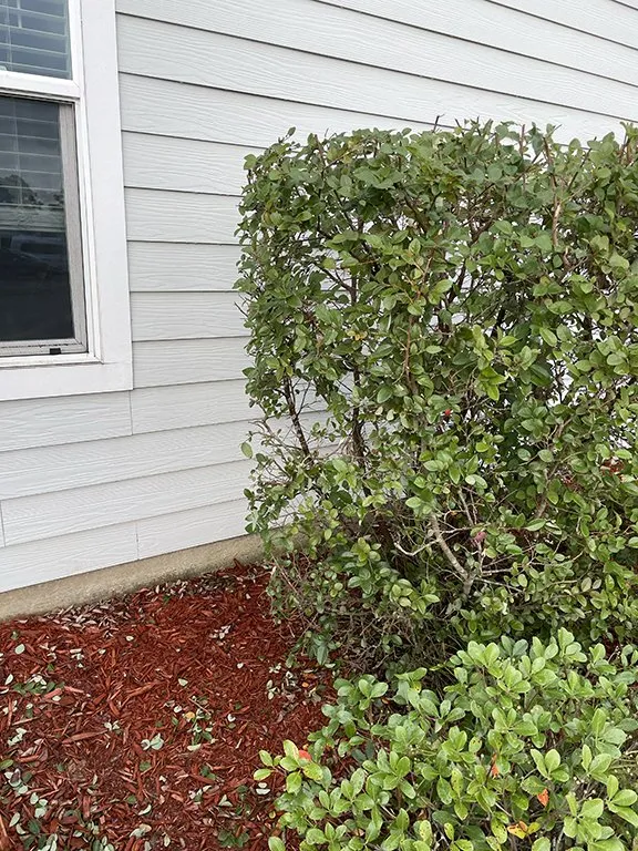 Top-rated garden landscaping in Santa Rosa Beach, FL by Sun Lawn Care and Design