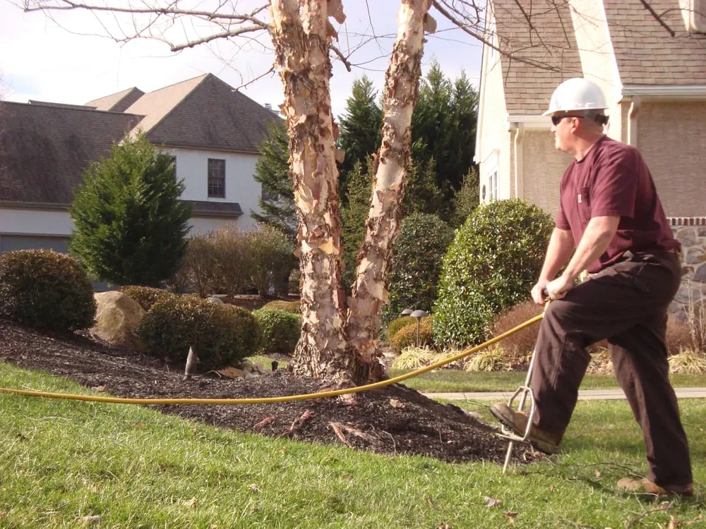 Expert landscape installation with custom design across Earleville, MD - Sun Lawn Tree & Shrub