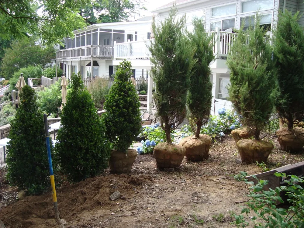 Professional outdoor landscaping near you in Earleville, MD by Sun Lawn Tree & Shrub