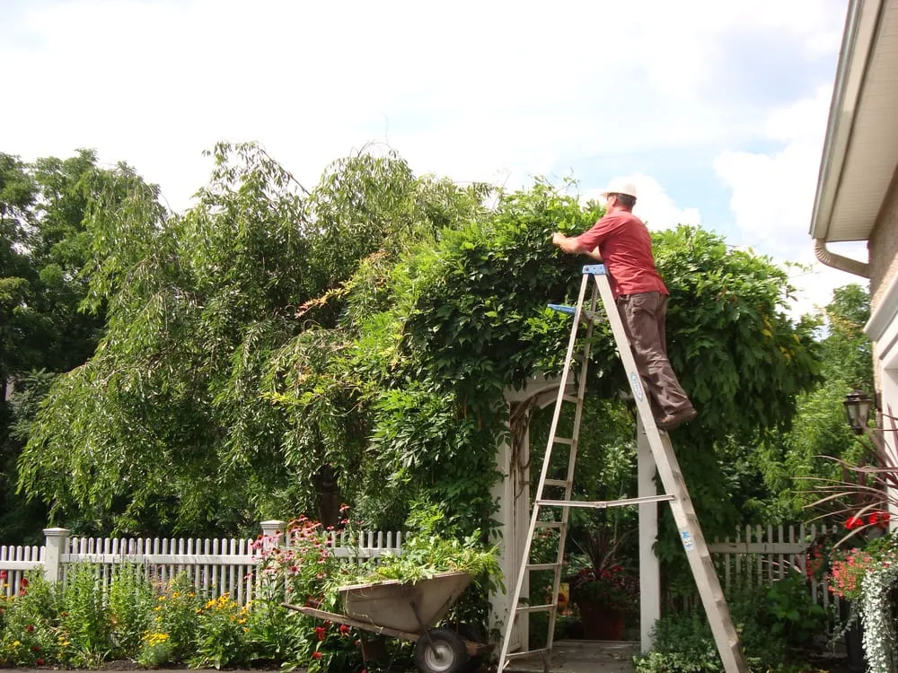 Expert garden landscaping in Earleville, MD by Sun Lawn Tree & Shrub