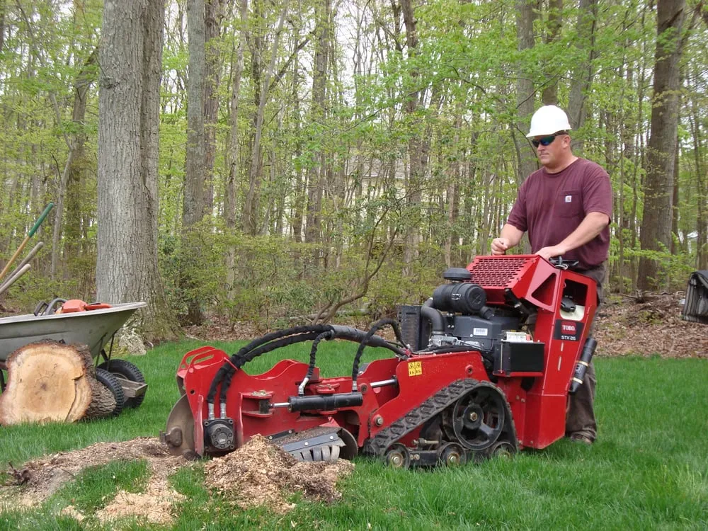 Top-rated outdoor landscaping in Earleville, MD by Sun Lawn Tree & Shrub