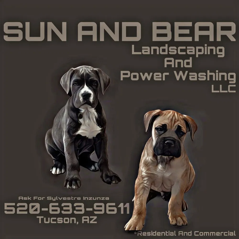 Affordable outdoor landscaping in Tucson, AZ - Sun N Bear Landscaping and Power Washing