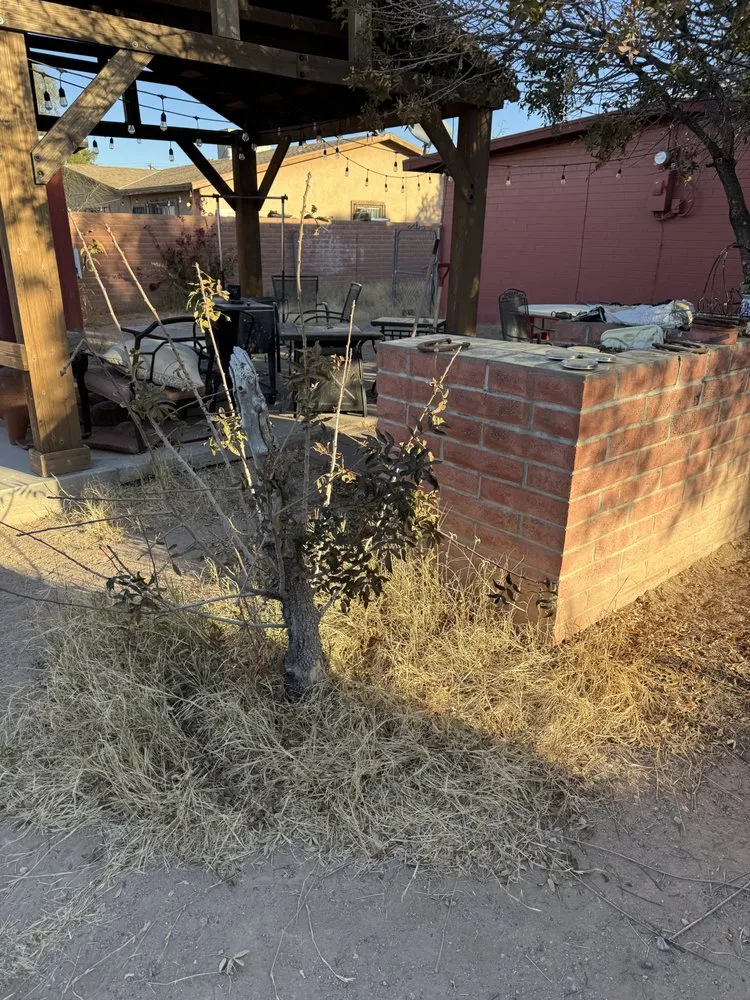 Reliable garden landscaping in Tucson, AZ - Sun N Bear Landscaping and Power Washing