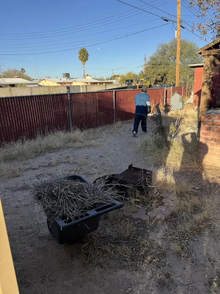 Trusted landscape design for residential properties across Tucson, AZ - Sun N Bear Landscaping and Power Washing