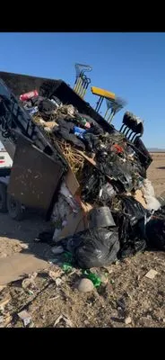 Sun N Bear Landscaping and Power Washing Logo