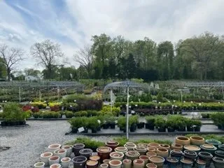 Trusted lawn mowing service in Woodbine, MD by Sun Nurseries