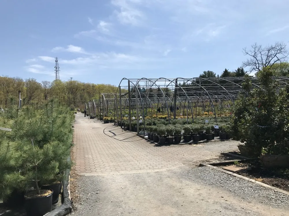 Local yard cleanup service in Woodbine, MD - Sun Nurseries