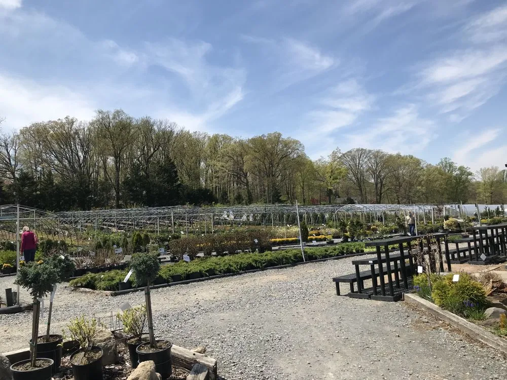 Expert landscaping services experts serving Woodbine, MD - Sun Nurseries