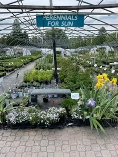 Trusted residential landscaping for residential properties across Woodbine, MD - Sun Nurseries