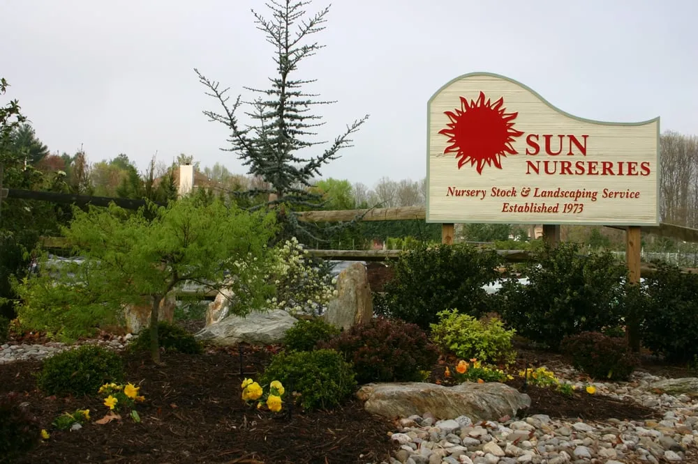Local yard maintenance in Woodbine, MD by Sun Nurseries