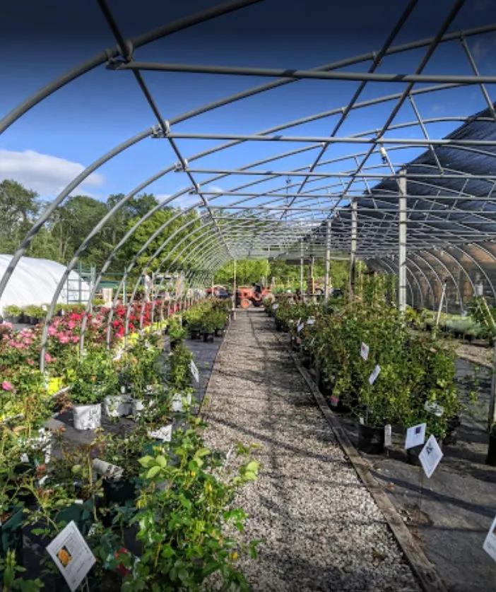 Expert outdoor landscaping in Woodbine, MD by Sun Nurseries