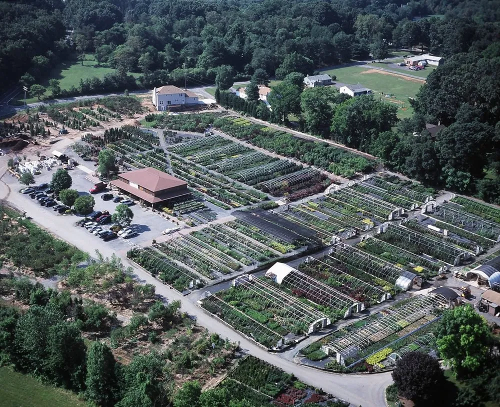 Professional landscape design near you in Woodbine, MD by Sun Nurseries