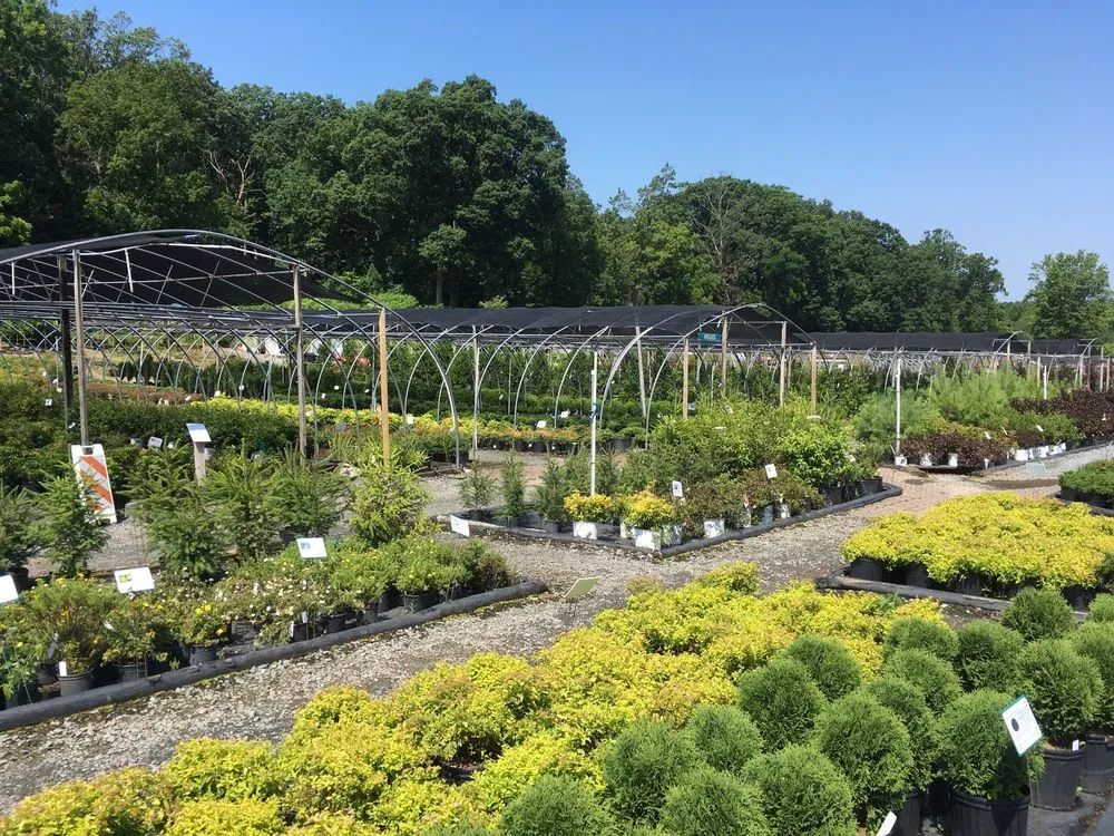 Affordable garden landscaping near you in Woodbine, MD by Sun Nurseries