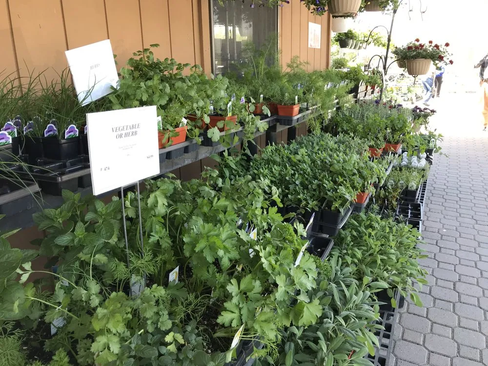 Professional yard cleanup service in Woodbine, MD by Sun Nurseries