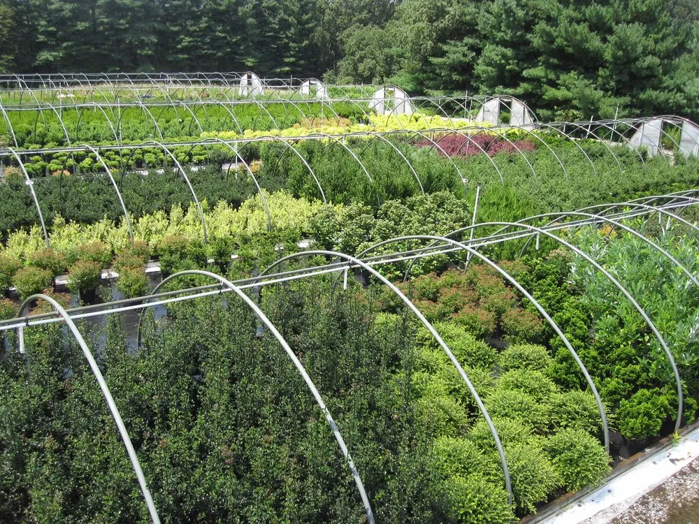 Local yard maintenance in Woodbine, MD - Sun Nurseries