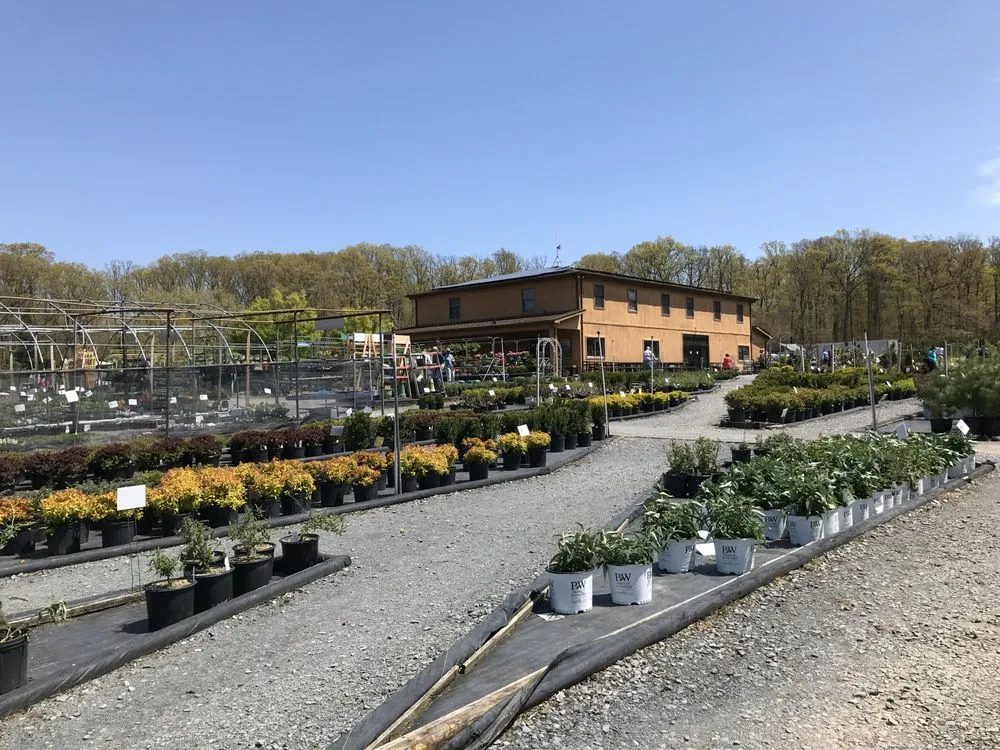 Affordable yard cleanup service for residential properties in Woodbine, MD by Sun Nurseries