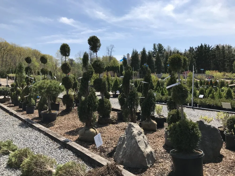 Professional landscaping services in Woodbine, MD by Sun Nurseries