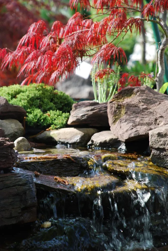 Trusted landscape design for year-round maintenance in Woodbine, MD by Sun Nurseries