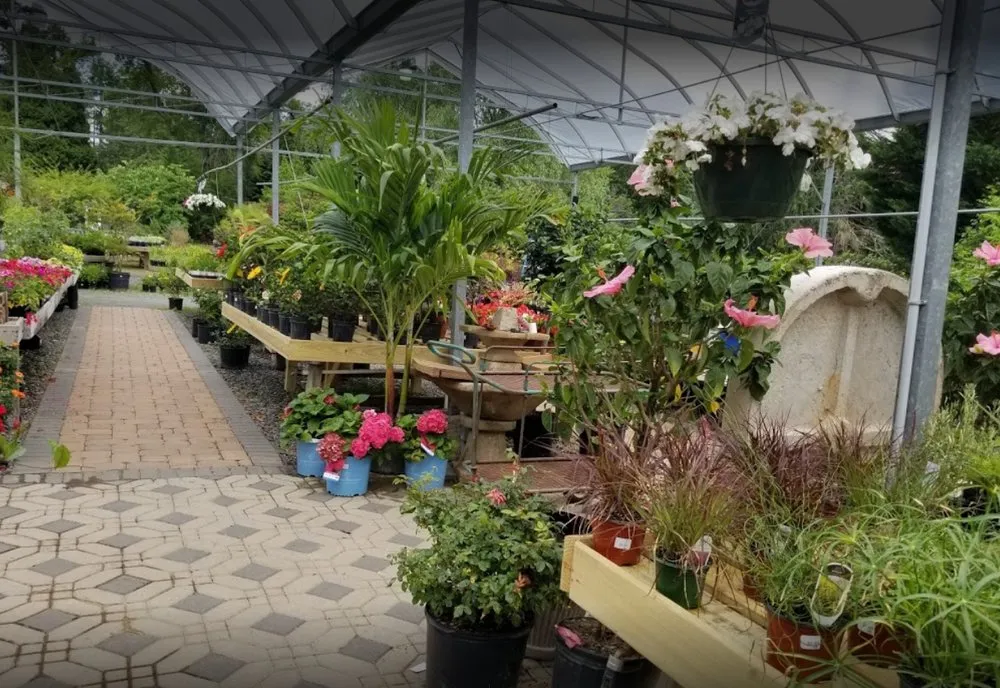 Professional yard cleanup service for homes across Woodbine, MD - Sun Nurseries