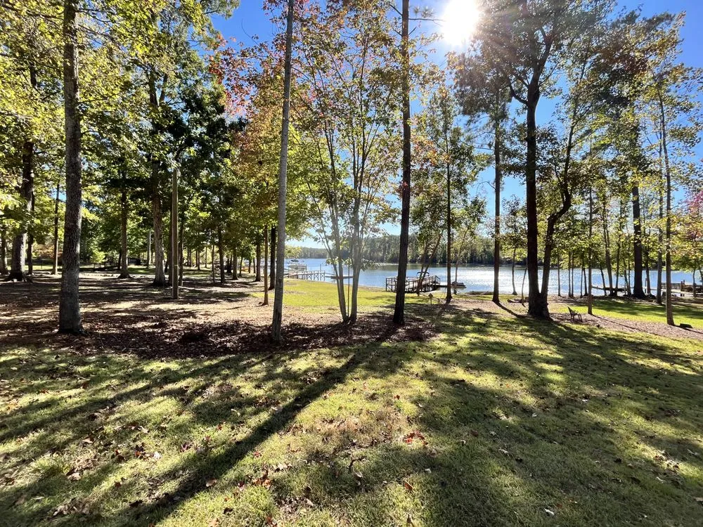 Affordable yard cleanup service for residential properties in Columbia, SC by Sun of Nature