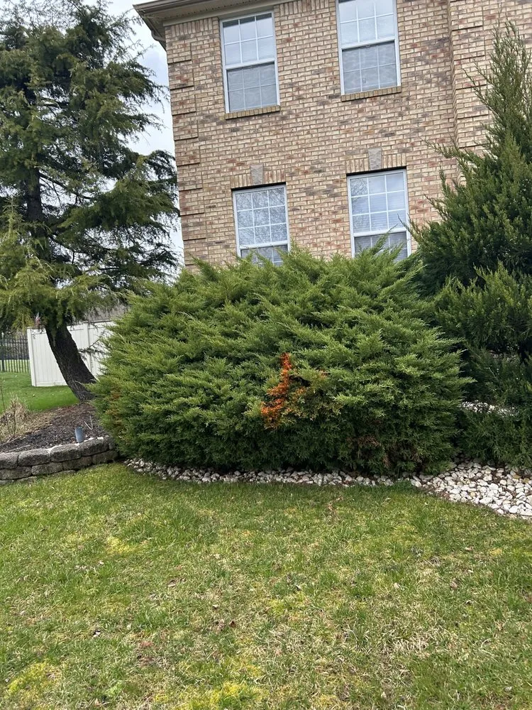 Custom landscaping services in Ewing, NJ by Sun Of The Pacific Landscaping