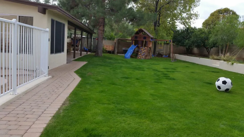 Affordable landscaping services for year-round maintenance in Phoenix, AZ by Sun of the Valley Landscaping