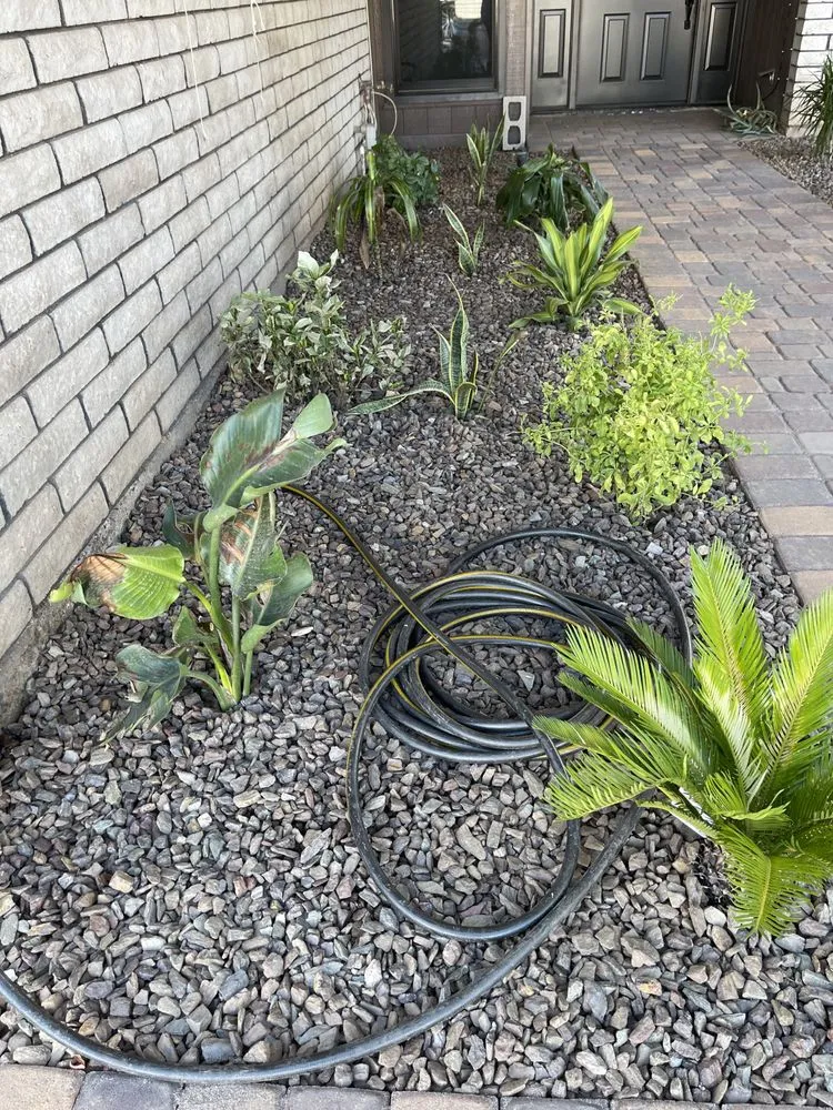 Local yard maintenance near you across Phoenix, AZ - Sun of the Valley Landscaping