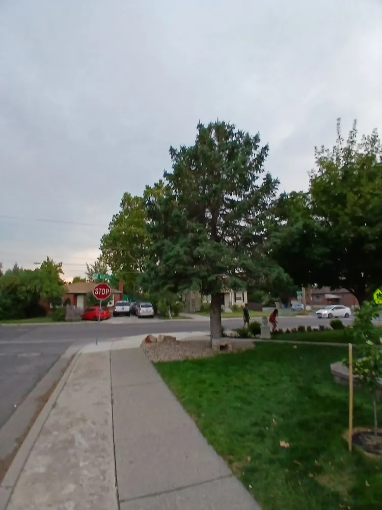 Trusted lawn mowing service experts serving Midvale, UT - Sun Peak Landscaping