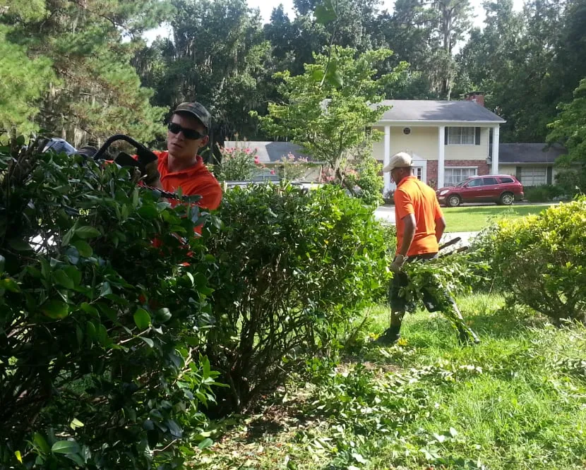 Trusted landscape design experts serving Gainesville, FL - Sun Power Lawn Care