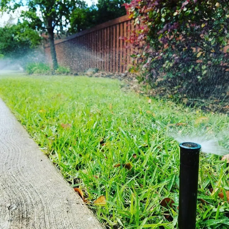 Affordable landscaping services experts serving Gainesville, FL - Sun Power Lawn Care