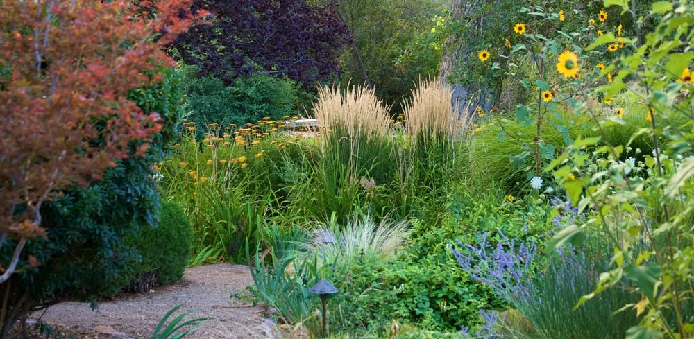 Professional outdoor landscaping near you across Prescott, AZ - Sun Qi Designs