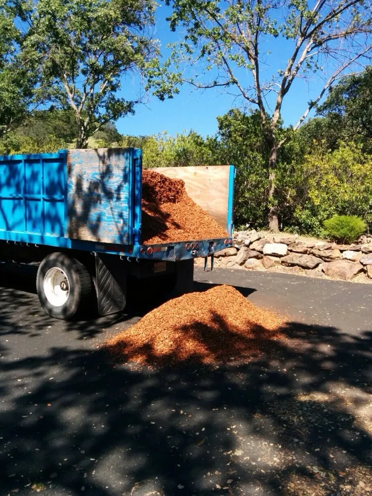 Affordable yard maintenance in Fairfield, CA by Sun-Ray Landscape Supply