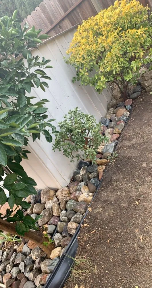 Expert landscape design for homes in Fairfield, CA by Sun-Ray Landscape Supply