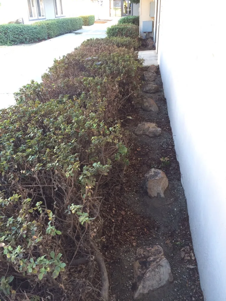 Affordable residential landscaping near you in Fairfield, CA by Sun-Ray Landscape Supply