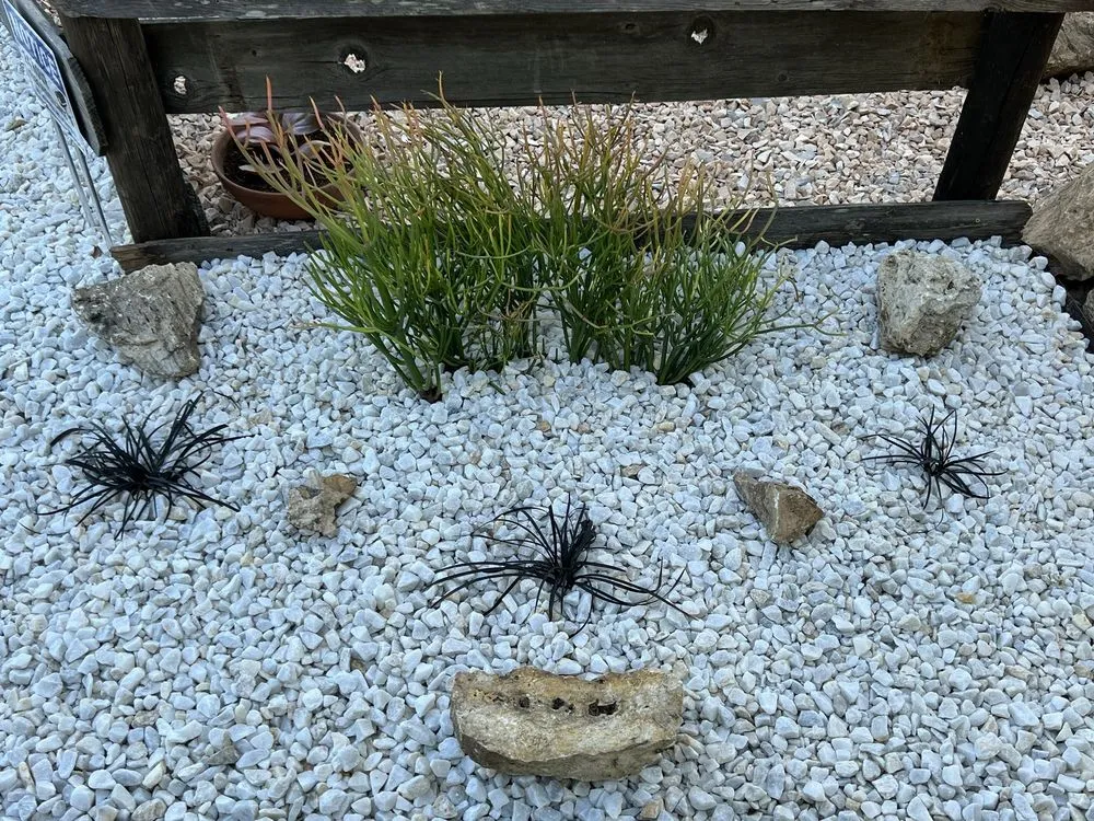 Expert outdoor landscaping in Fairfield, CA - Sun-Ray Landscape Supply